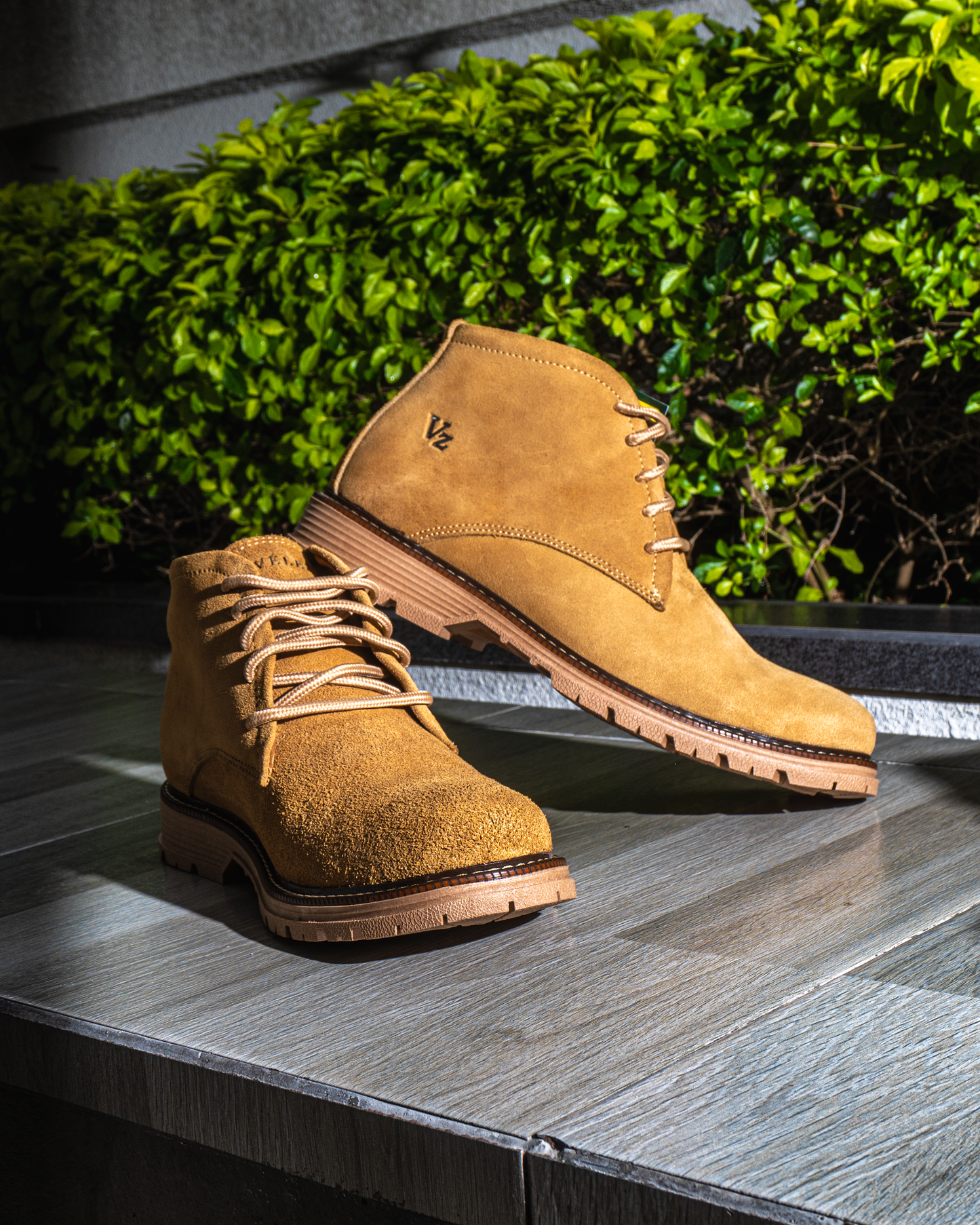 BOTIN PREMIUM VLZ CARNAZA + CAJA
