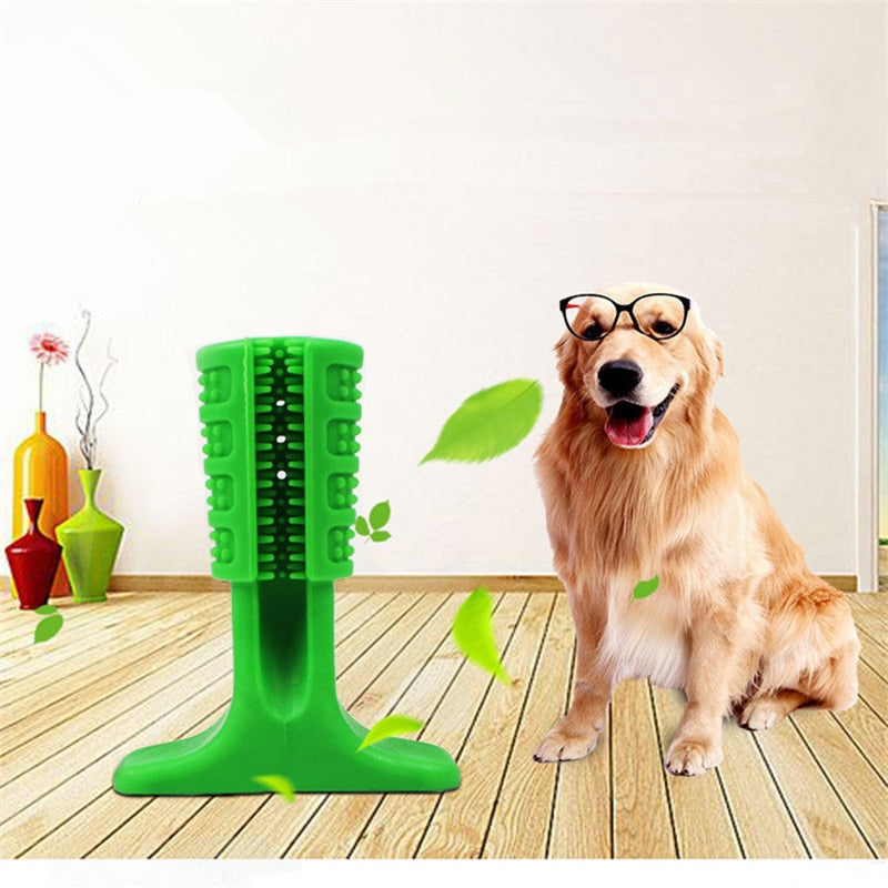 Cepillo dental para perros