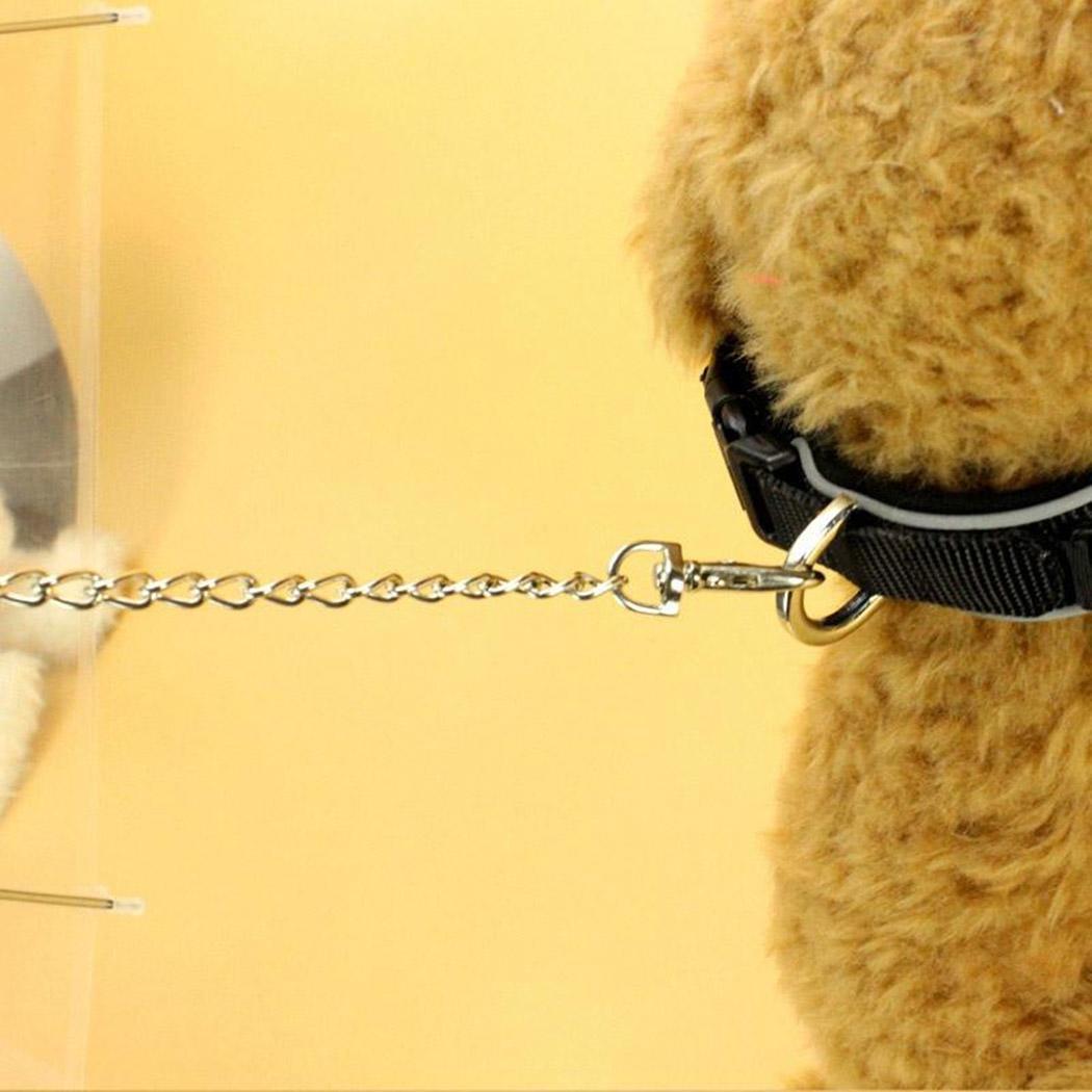 Combo super mascota 2X1