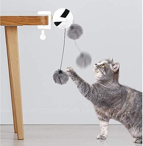Kit Gato contento (Jugete, guía, papel)