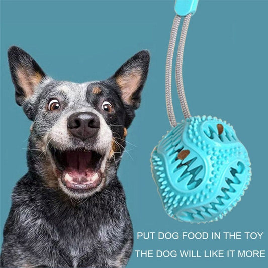 Combo super mascota (Lleva juguete cepillo de dientes + Juguete antiestrés) + 🎁